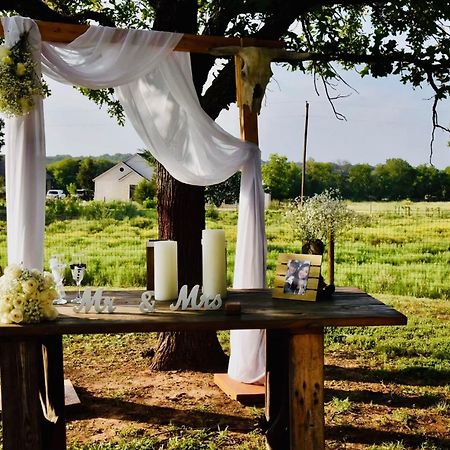 Beautiful Farmhouse W/ Pool On 6 Acres Ranch Aubrey Dış mekan fotoğraf